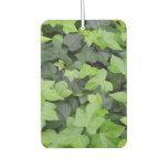 Green Ivy Air Freshener