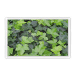 Green Ivy Botanical Print Acrylic Tray
