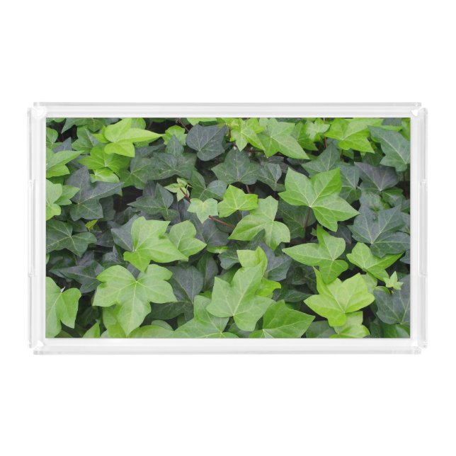 Green Ivy Botanical Print Acrylic Tray (Front)