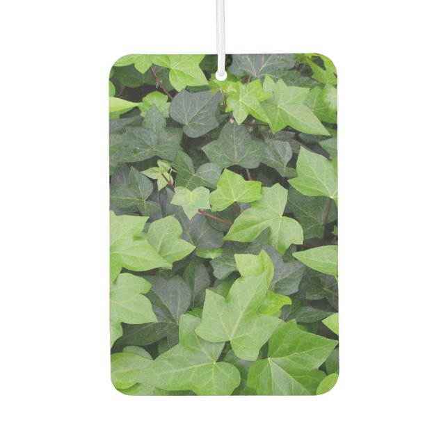 Green Ivy Botanical Print Air Freshener (Front)