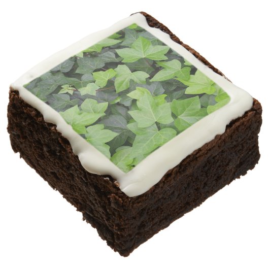 Green Ivy Botanical Print Brownie (Angled)