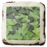 Green Ivy Botanical Print Brownie