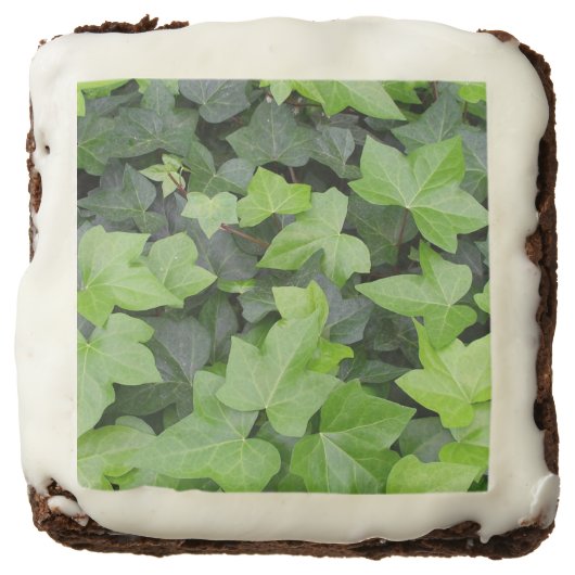 Green Ivy Botanical Print Brownie (Front)
