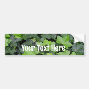 Green Ivy Botanical Print Bumper Sticker