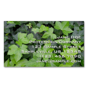 Green Ivy Botanical Print Business Card Magnet