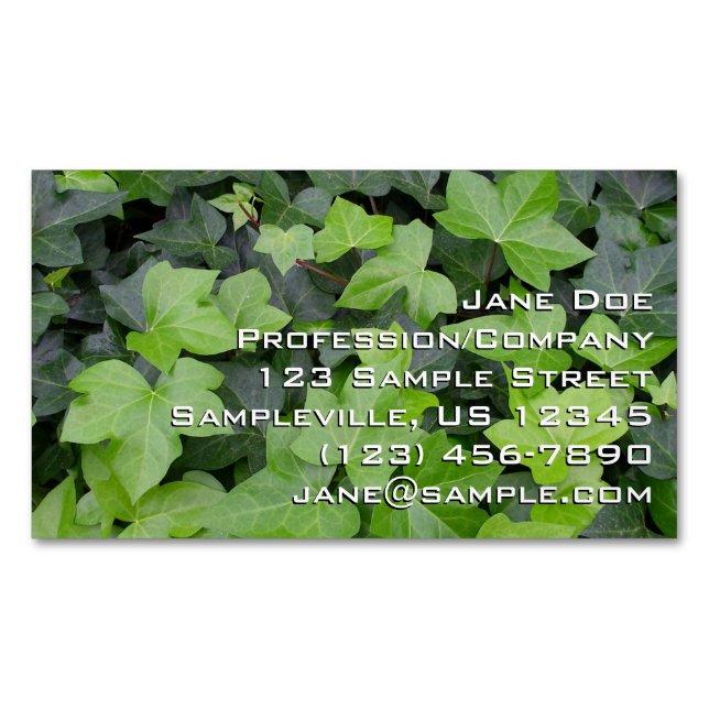 Green Ivy Botanical Print Business Card Magnet (Front)