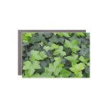 Green Ivy Botanical Print Car Magnet