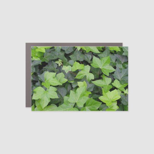 Green Ivy Botanical Print Car Magnet