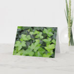 Green Ivy Botanical Print Card