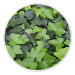 Green Ivy Botanical Print Ceramic Knob