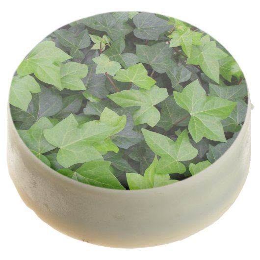 Green Ivy Botanical Print Chocolate Dipped Oreo (Angled)