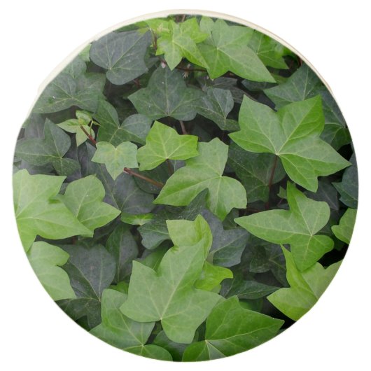 Green Ivy Botanical Print Chocolate Dipped Oreo (Front)