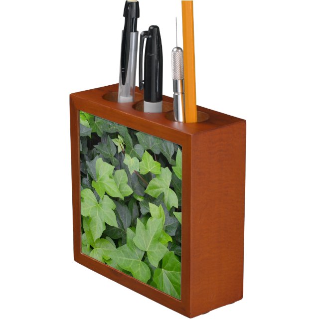 Green Ivy Botanical Print Desk Organizer (In Situ)