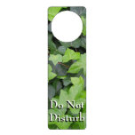 Green Ivy Botanical Print Door Hanger