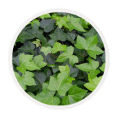 Green Ivy Botanical Print Edible Frosting Rounds (Front)