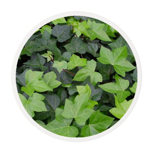 Green Ivy Botanical Print Edible Frosting Rounds (Front)