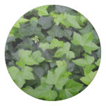 Green Ivy Botanical Print Eraser
