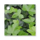 Green Ivy Botanical Print Favor Tags