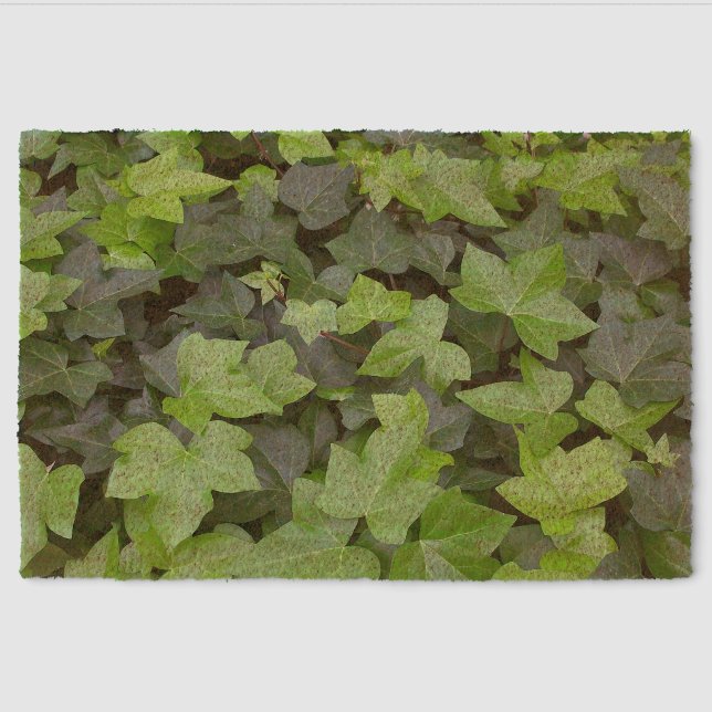 Green Ivy Botanical Print Fiber Doormat (Front)