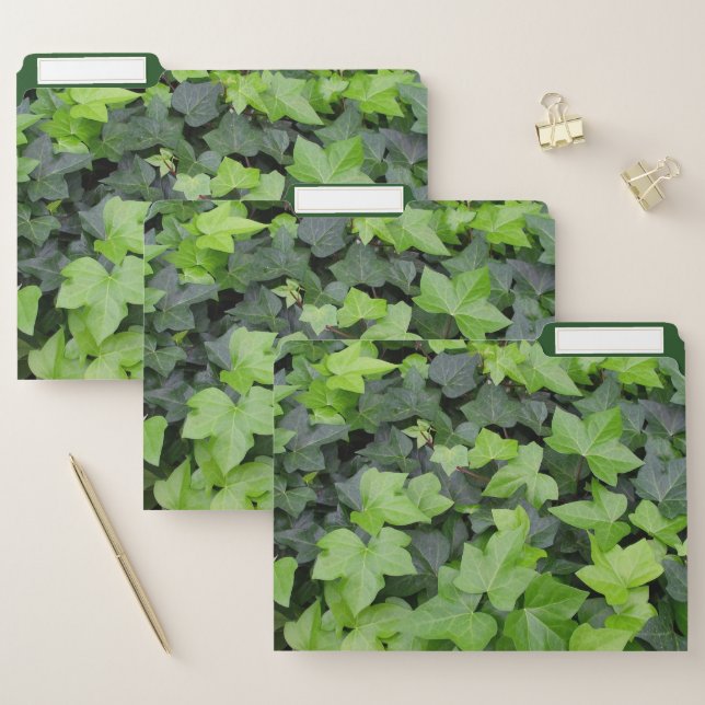 Green Ivy Botanical Print File Folder (Set)