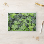 Green Ivy Botanical Print HP Laptop Skin