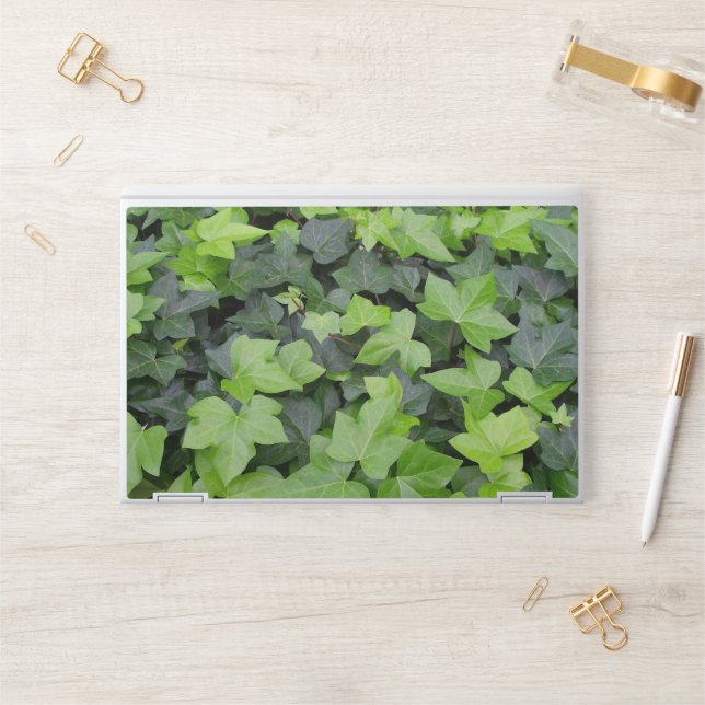 Green Ivy Botanical Print HP Laptop Skin (Desk)