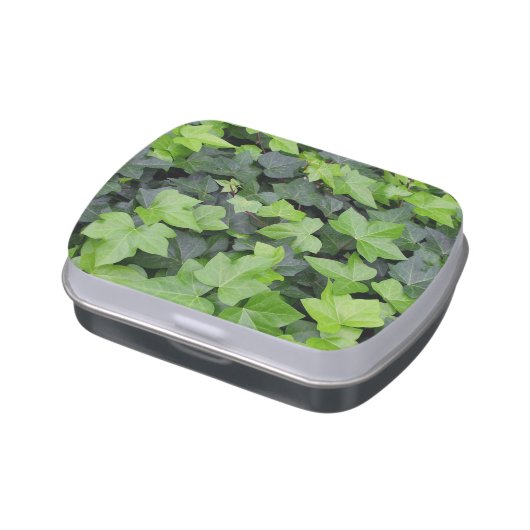 Green Ivy Botanical Print Jelly Belly Candy Tin (Side)