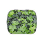 Green Ivy Botanical Print Jelly Belly Candy Tin