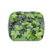 Green Ivy Botanical Print Jelly Belly Candy Tin (Top)