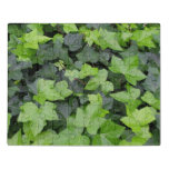 Green Ivy Botanical Print Jigsaw Puzzle