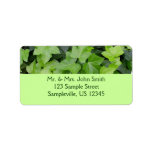 Green Ivy Botanical Print Label