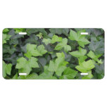 Green Ivy Botanical Print License Plate