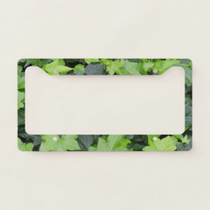 Green Ivy Botanical Print License Plate Frame