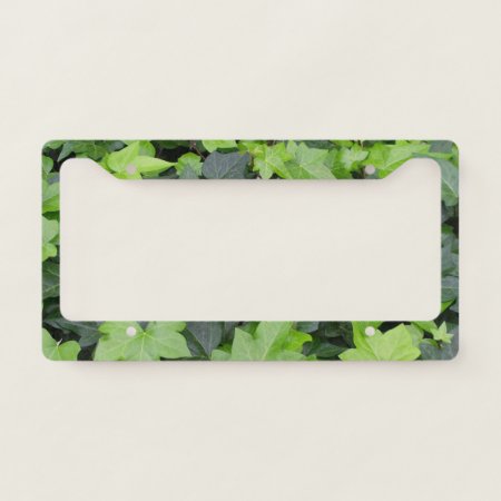 Green Ivy Botanical Print License Plate Frame