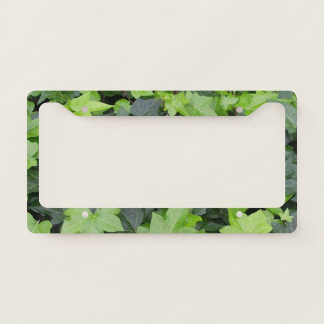Green Ivy Botanical Print License Plate Frame (Front)