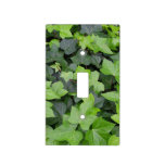 Green Ivy Botanical Print Light Switch Cover