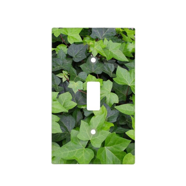 Green Ivy Botanical Print Light Switch Cover (Front)