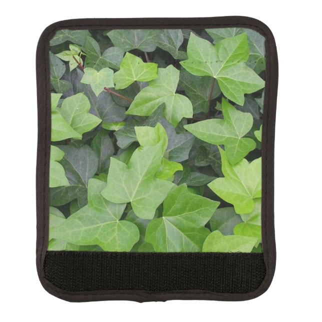 Green Ivy Botanical Print Luggage Handle Wrap (Front)