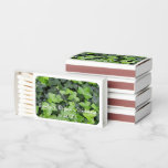 Green Ivy Botanical Print Matchboxes