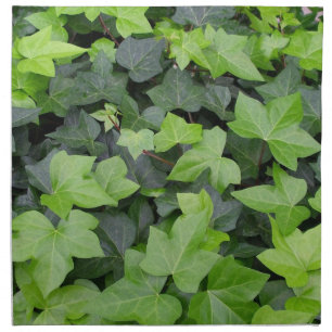 Green Ivy Botanical Print Napkin