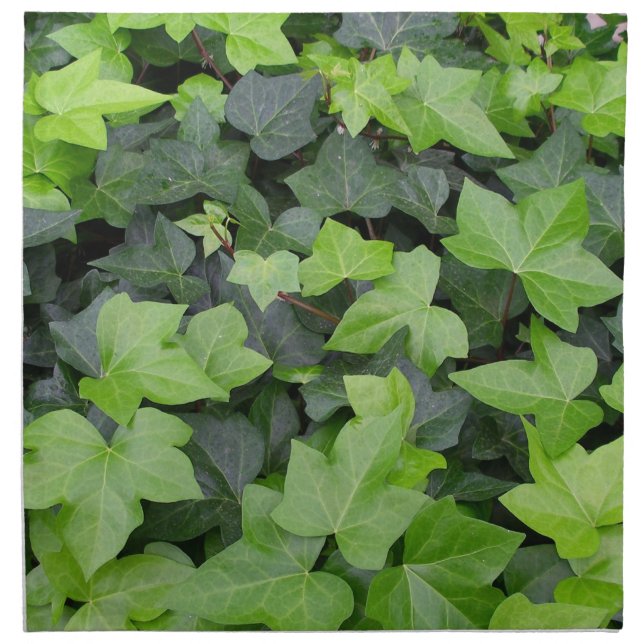 Green Ivy Botanical Print Napkin (Front)