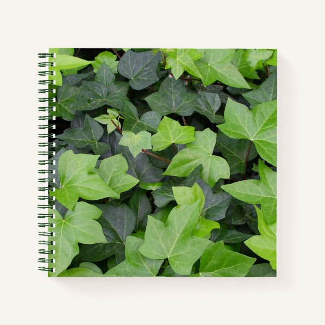 Green Ivy Botanical Print Notebook (Front)