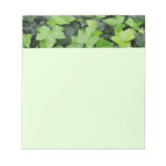 Green Ivy Botanical Print Notepad