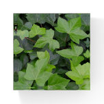 Green Ivy Botanical Print Paperweight