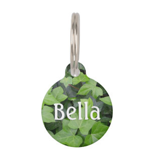 Green Ivy Botanical Print Pet ID Tag