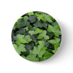 Green Ivy Botanical Print Pinback Button