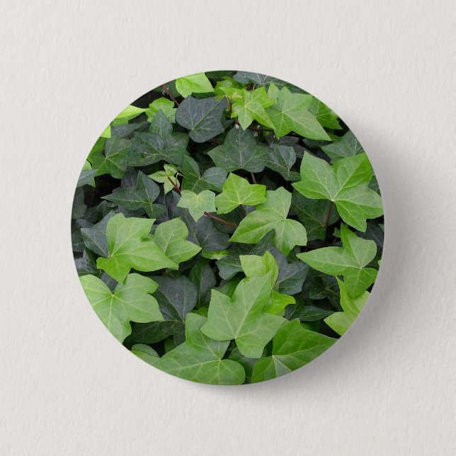 Green Ivy Botanical Print Pinback Button (Front)