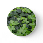 Green Ivy Botanical Print Pinback Button