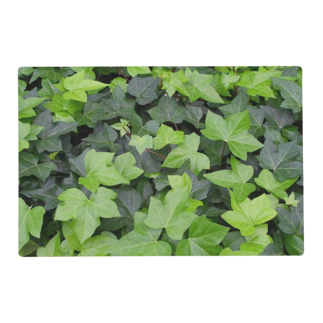 Green Ivy Botanical Print Placemat (Front)
