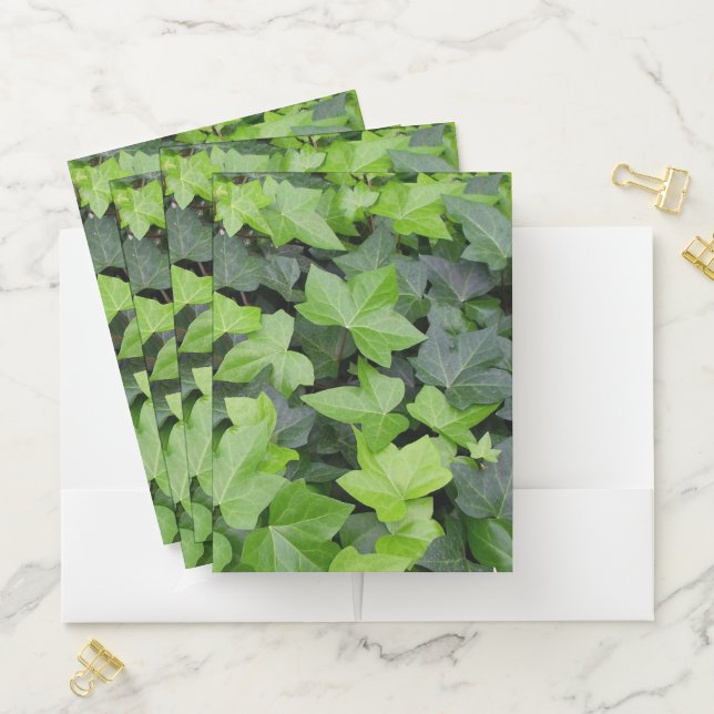 Green Ivy Botanical Print Pocket Folder (In Situ)